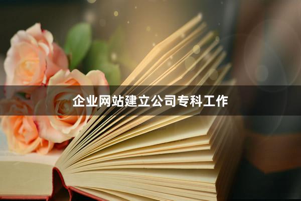 企业网站建立公司专科工作