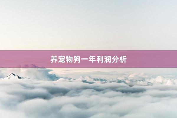 养宠物狗一年利润分析