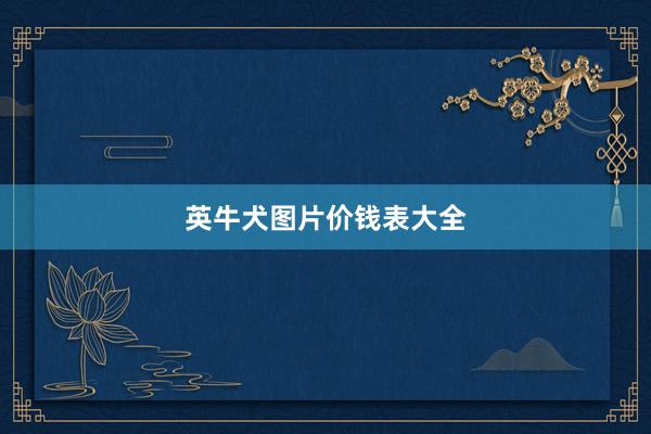 英牛犬图片价钱表大全